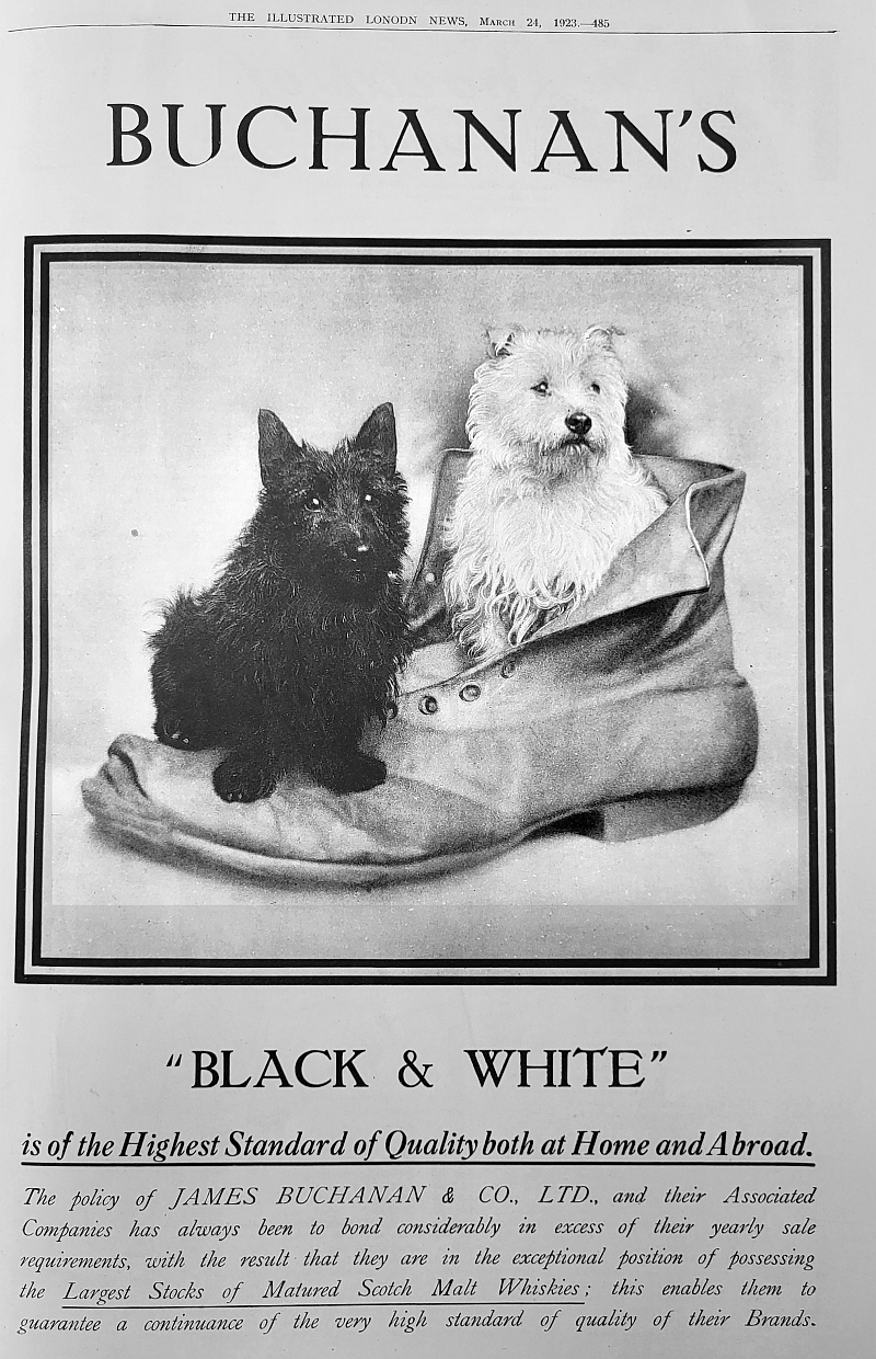 advert black and white whisky dogs